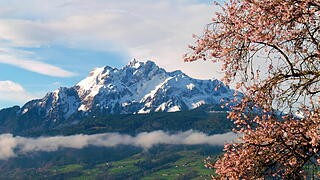 Frühling in der Zentralschweiz